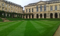 Oxford (UK)
